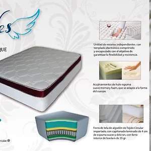 https://studio-steps-from-los-muertos-beach-king-bed.hotelspuertovallarta.org