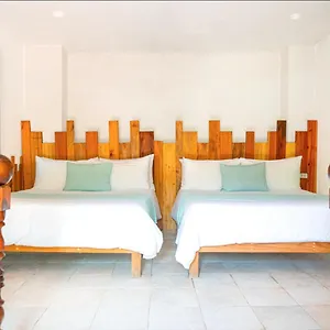 Mayan Monkey - Social (adults Only) **** Isla Mujeres